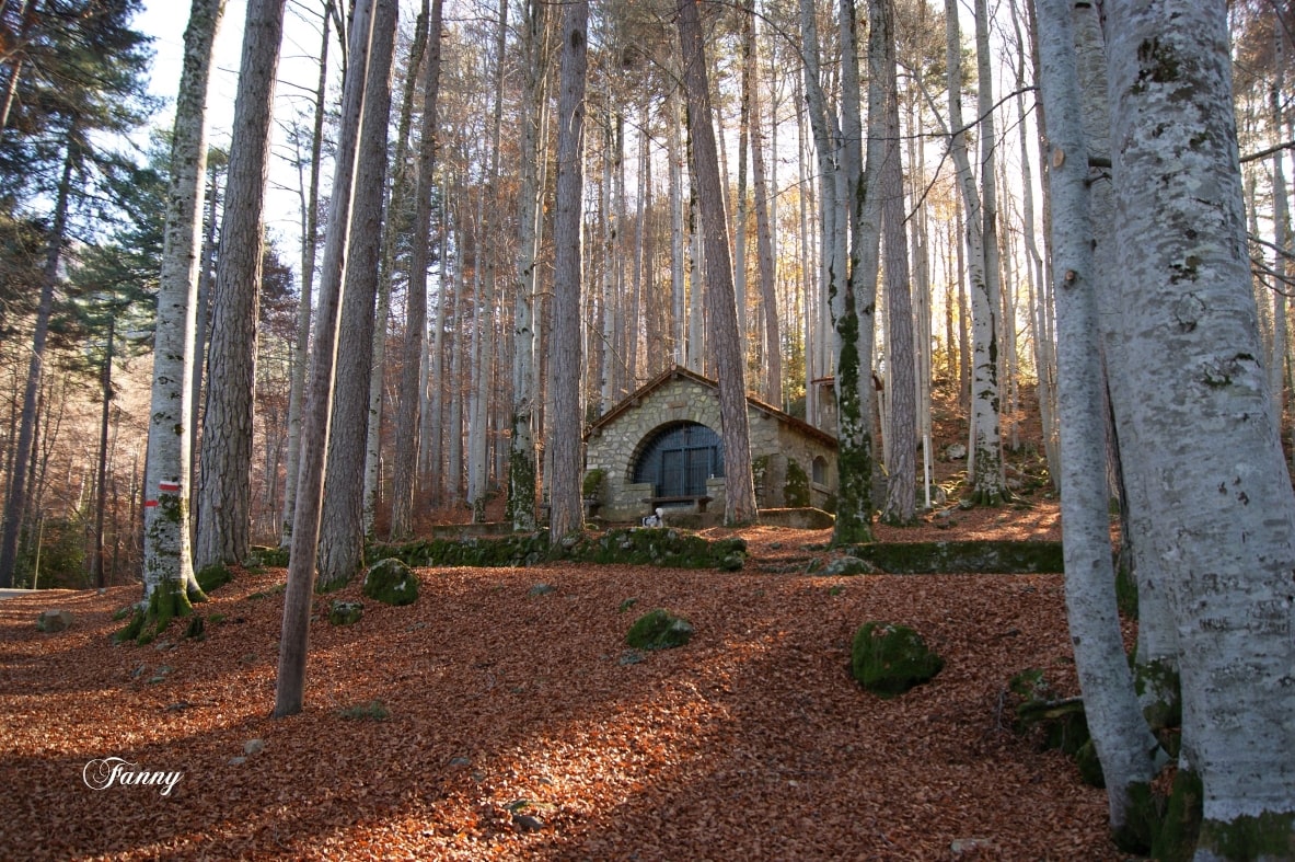 DSC05332viz Fanny Signée (2)-min.jpg