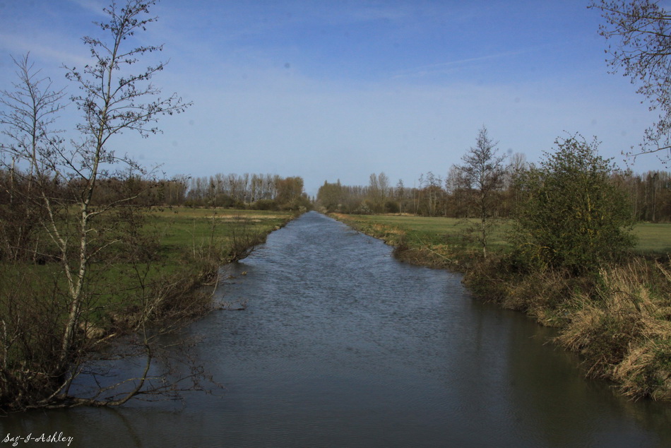 IMG_0084_GF.jpg