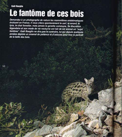 Sans titre-crop-crop.png
