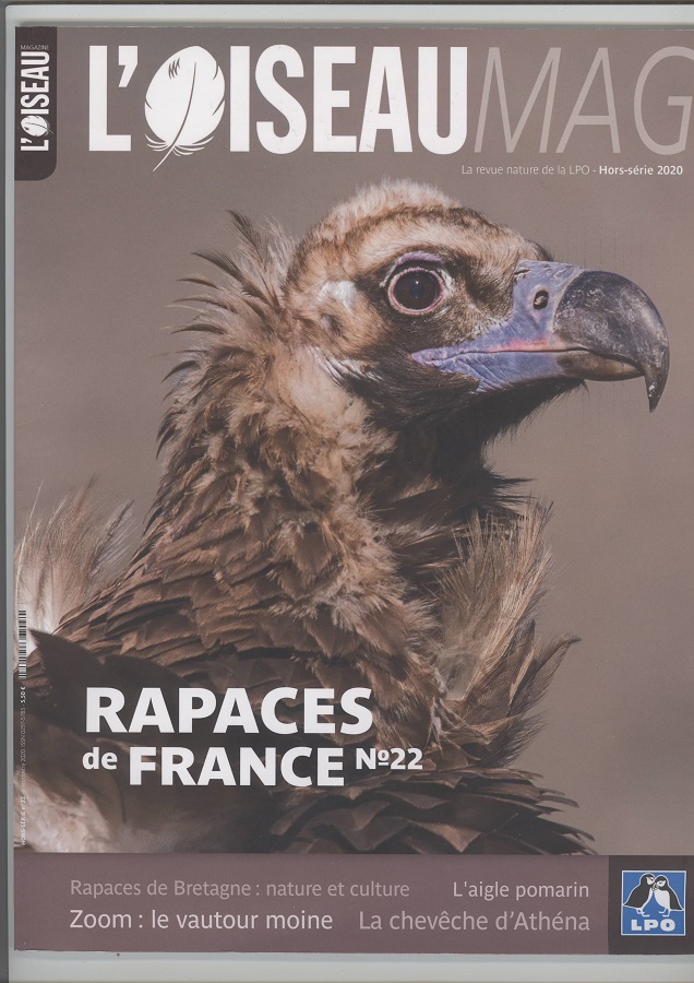 oiseau mag.jpg