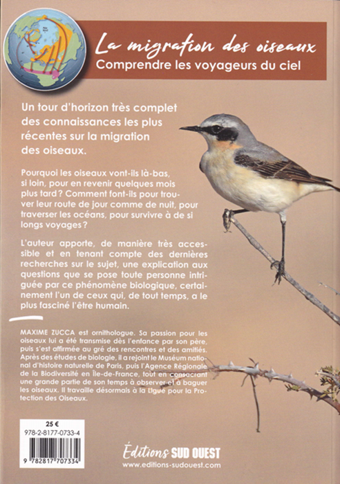 verso.png