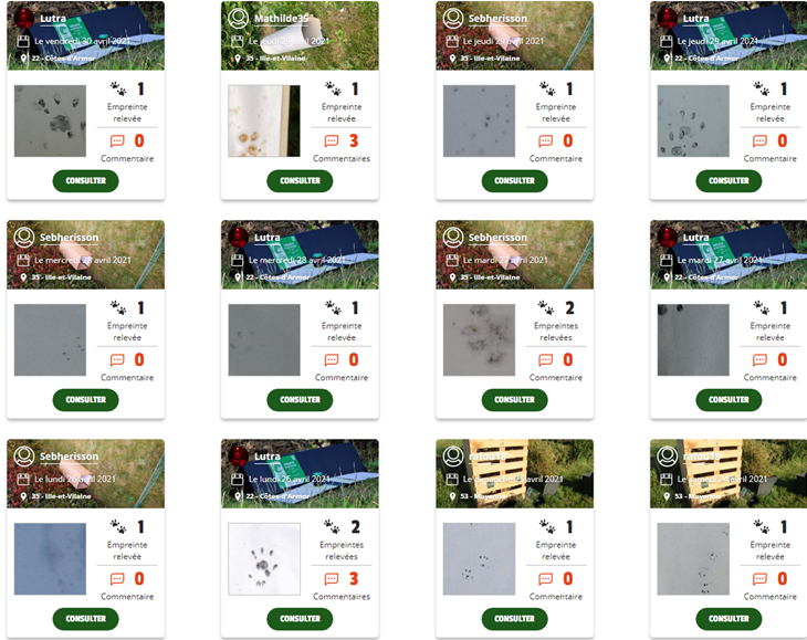 Observations mission hérisson région St-Brieuc (2).png