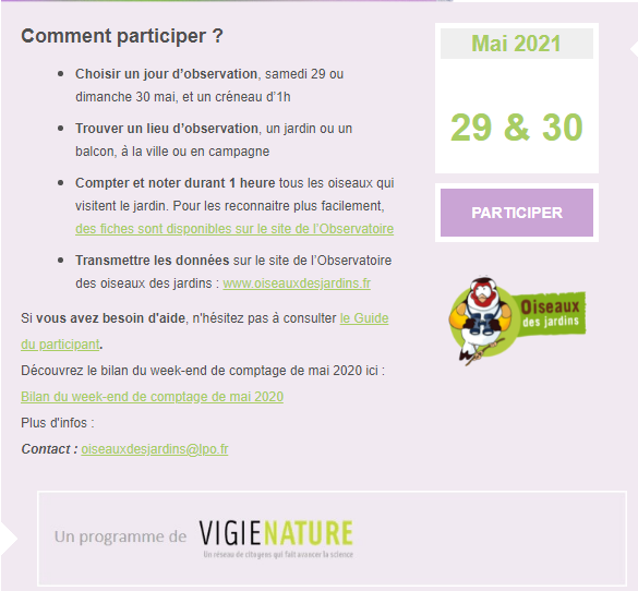 Comptages des oiseaux 2.png