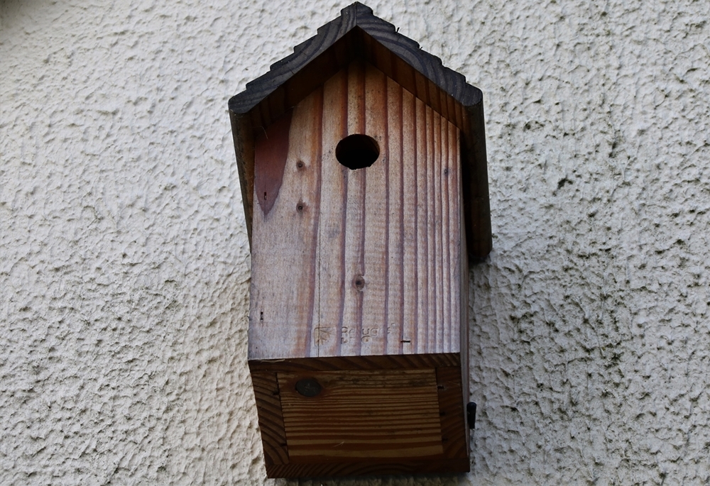 Nichoir LPO garage numéro 6 (2).JPG