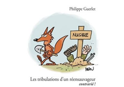 Sans titre-crop.png