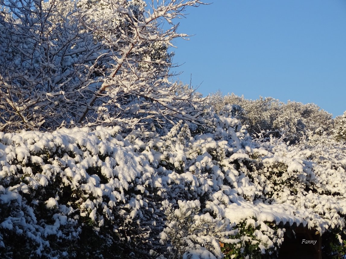 Neige signéeDSC04735.jpg