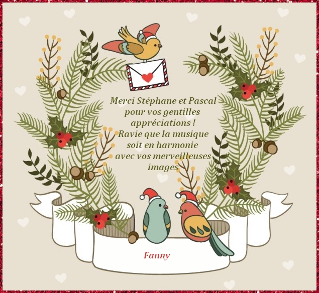 carte-noel-oiseaux.jpg