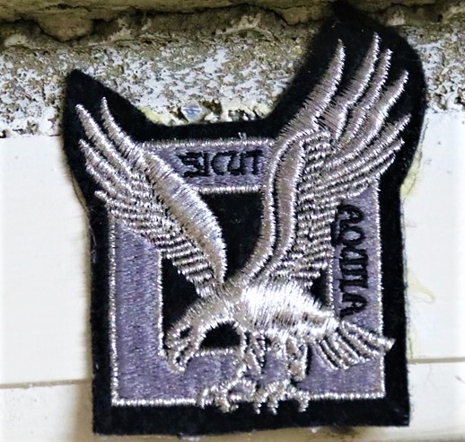 Sicut-Aquila.JPG