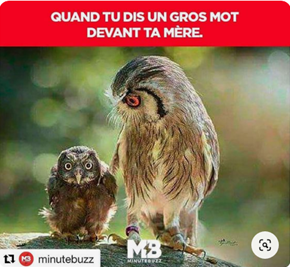 Humour 1.png
