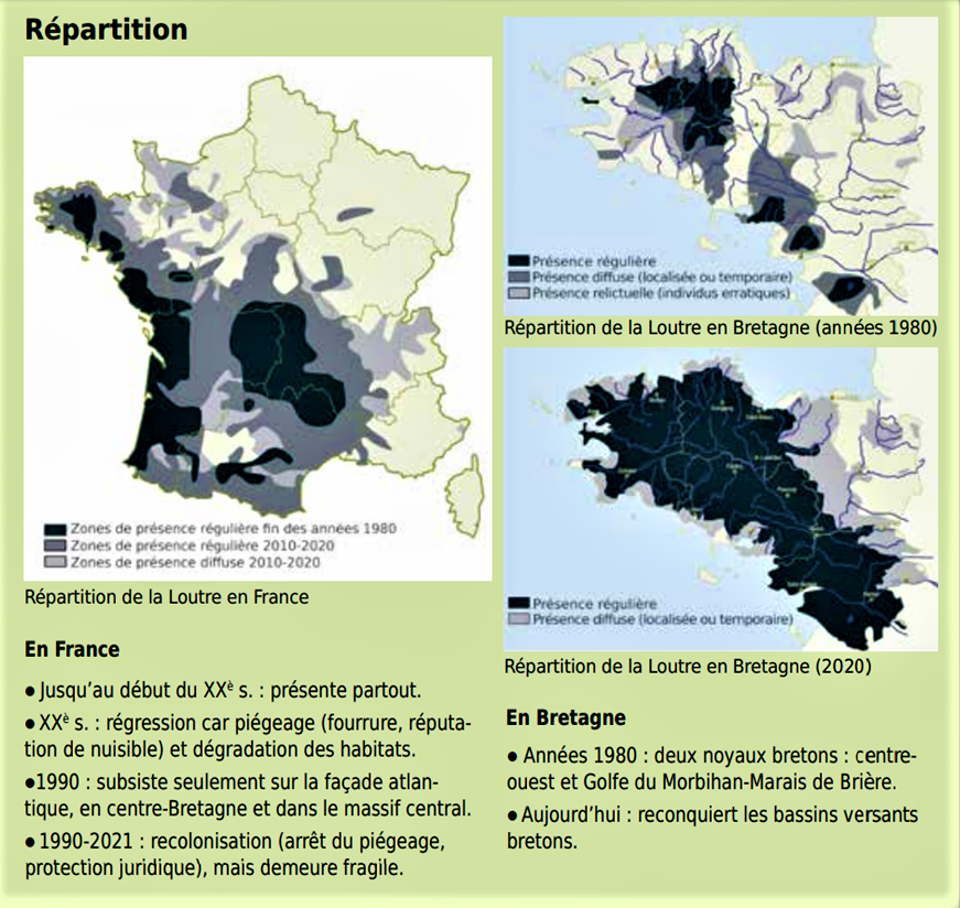 Répartition Loutre Janvier 2022.png