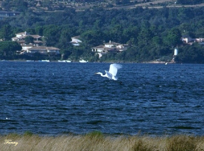 4ae3a9dc1280480cd...pg-sign--41ebc29 (1).jpg