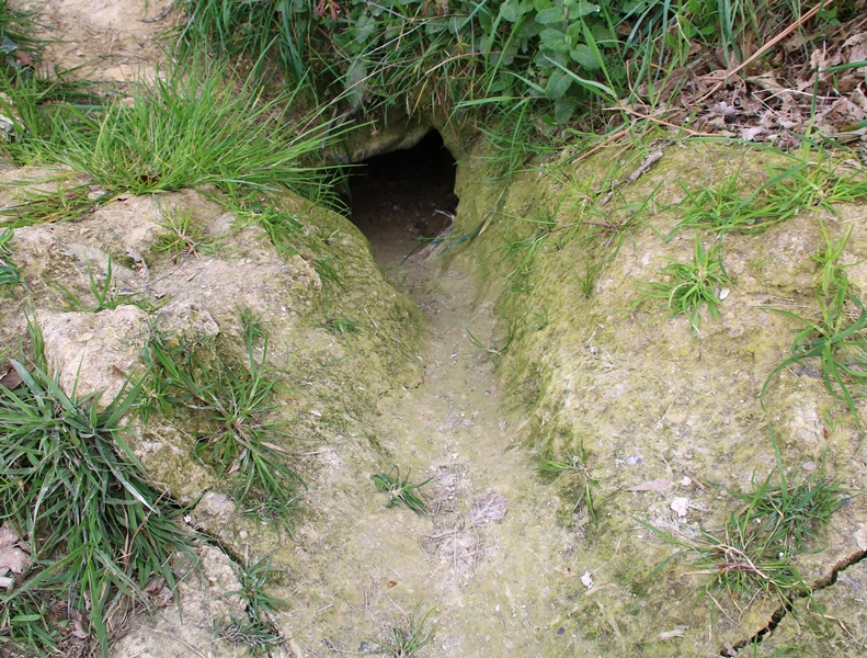 Complexe de terriers de Blaireaux Quintenic 28 Avril 2022 gueule.JPG