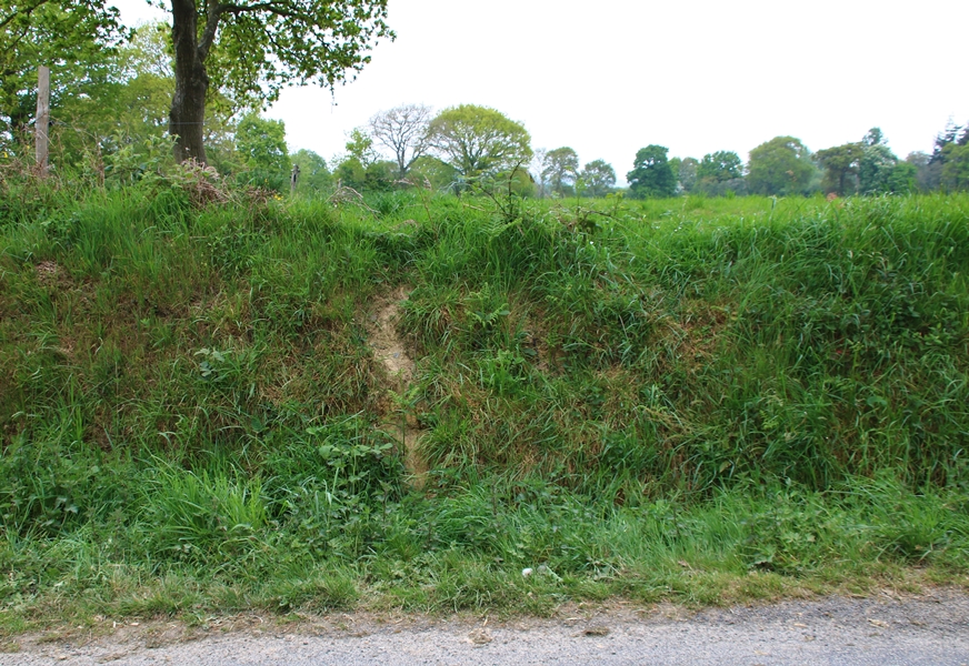 Complexe de terriers de Blaireaux Quintenic 28 Avril 2022 (6) coulée face au complexe.JPG