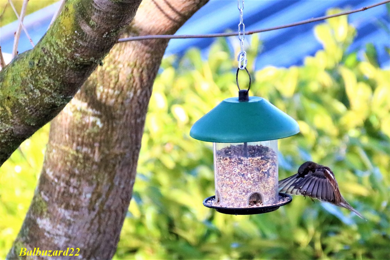 IMG_3395 - Copie.jpg