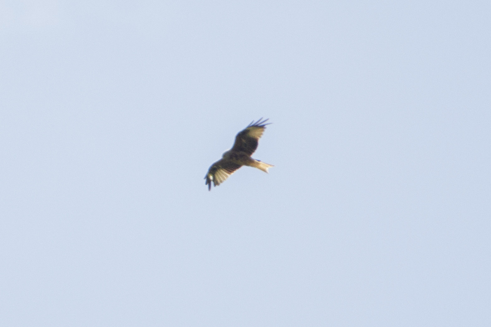 290622IMG_0335.JPG