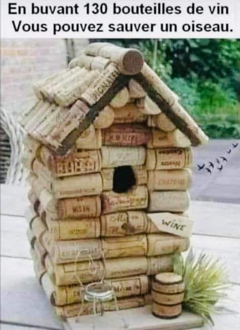 298096005_5615229835207610_3216740926047979552_n.jpg