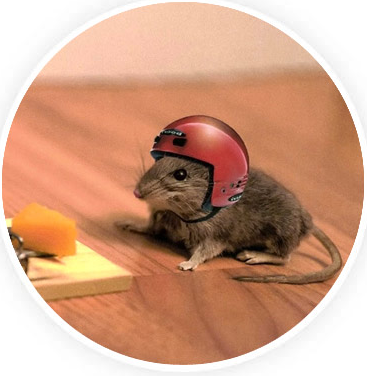 Humour souris.png