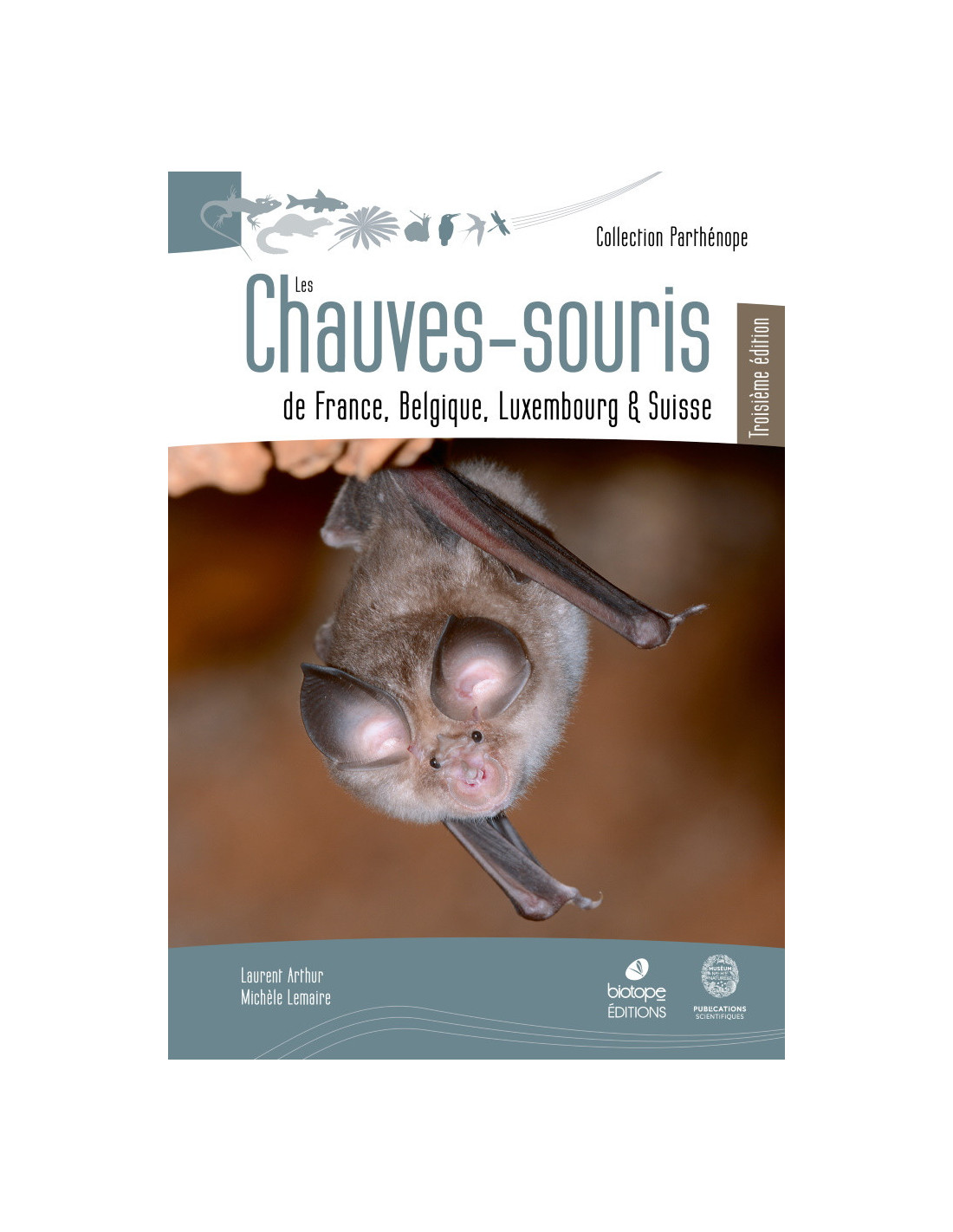 les-chauves-souris-de-france-belgique-luxembourg-et-suisse-3eme-edition.jpg