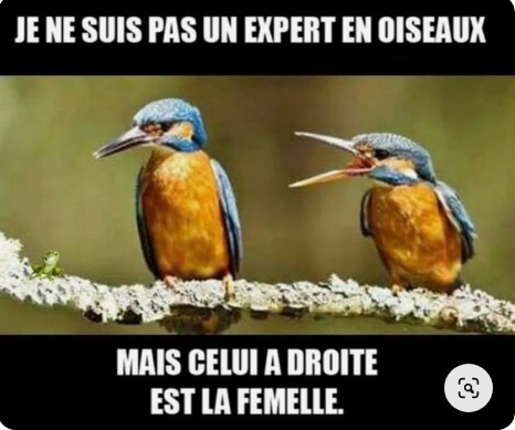 Humour 4.png