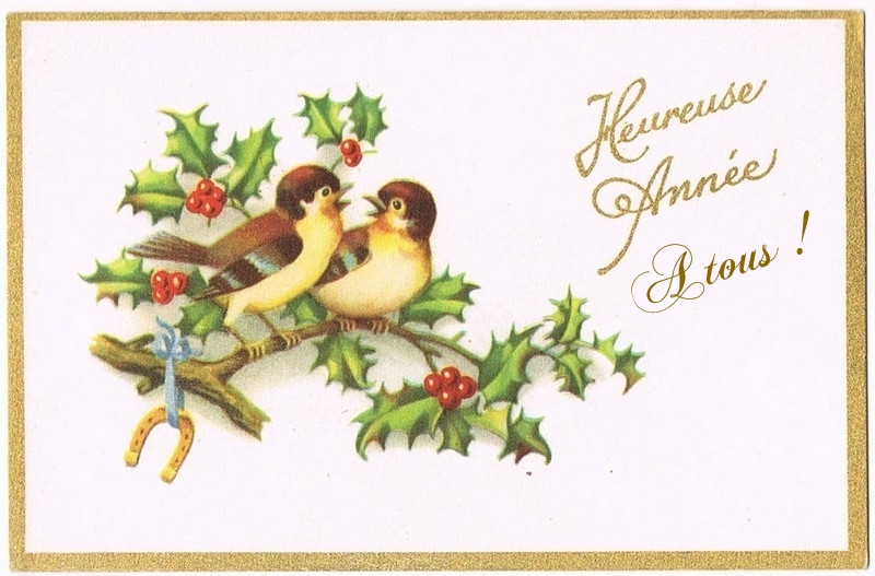 Oiseaux Bonne Année.jpg