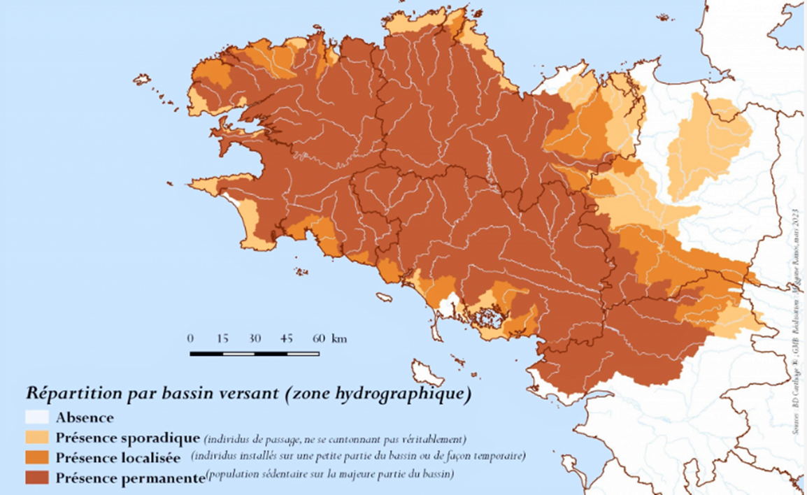 Carte Présence Loutre Bretagne.png