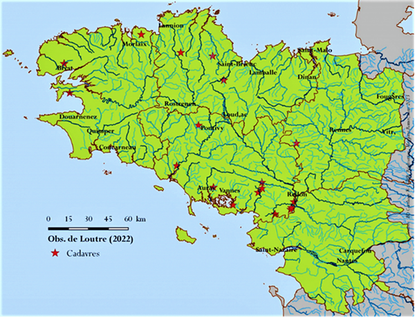 Carte mortalité loutre Bretagne.png