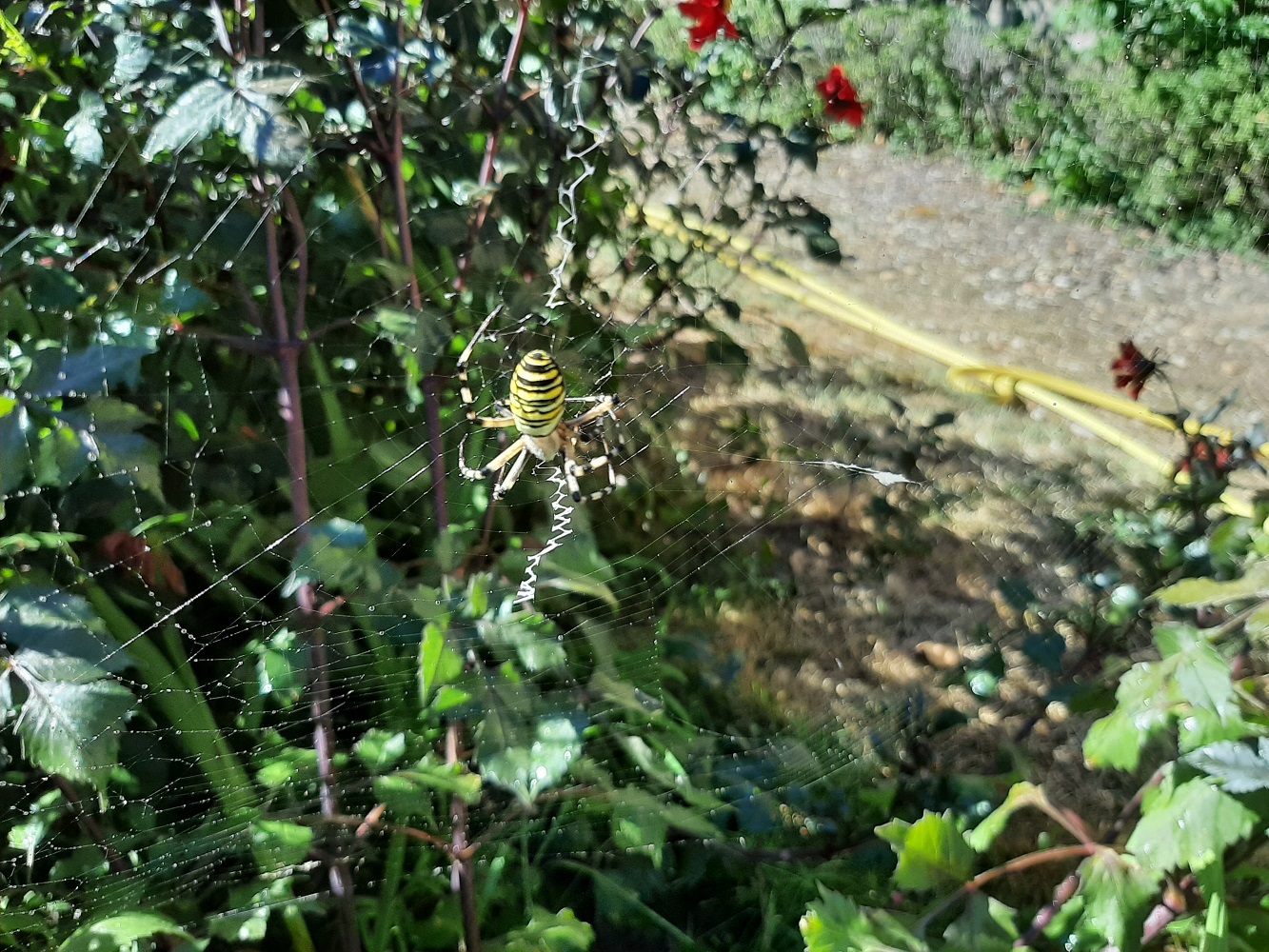 20220731_105730r.jpg