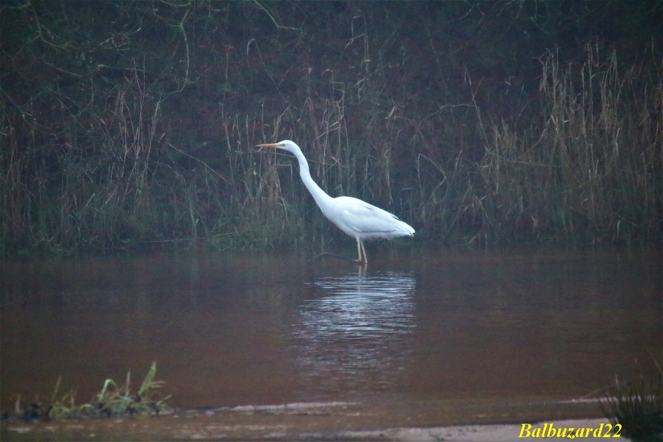 IMG_3512 - Copie.jpg