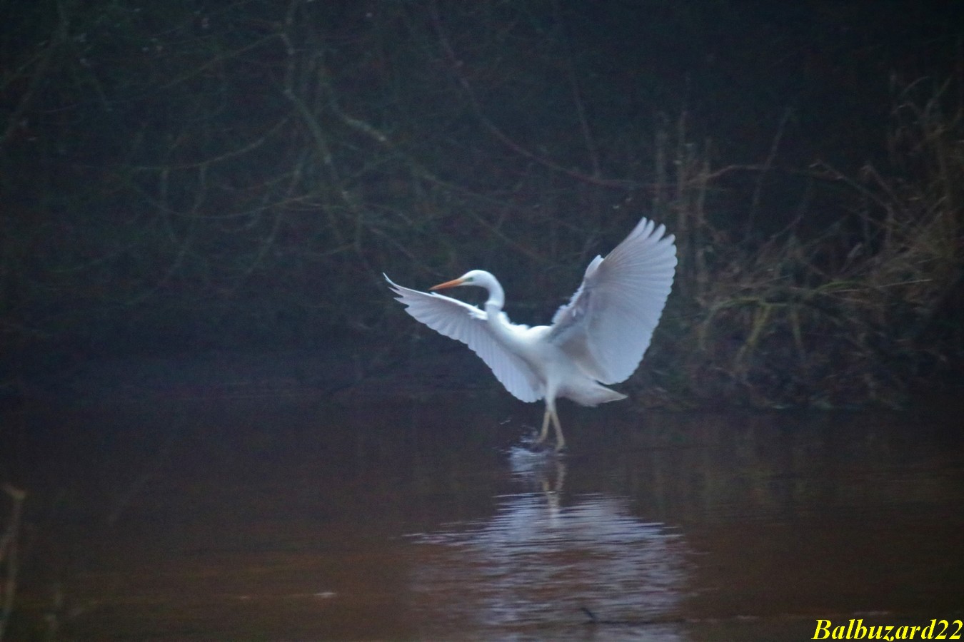 IMG_3514 - Copie.jpg