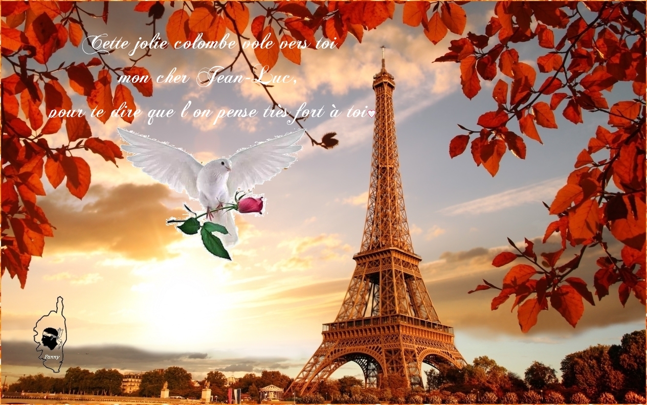 Anniv JLuc 75 ans Novembre 2023 Fanny.jpg