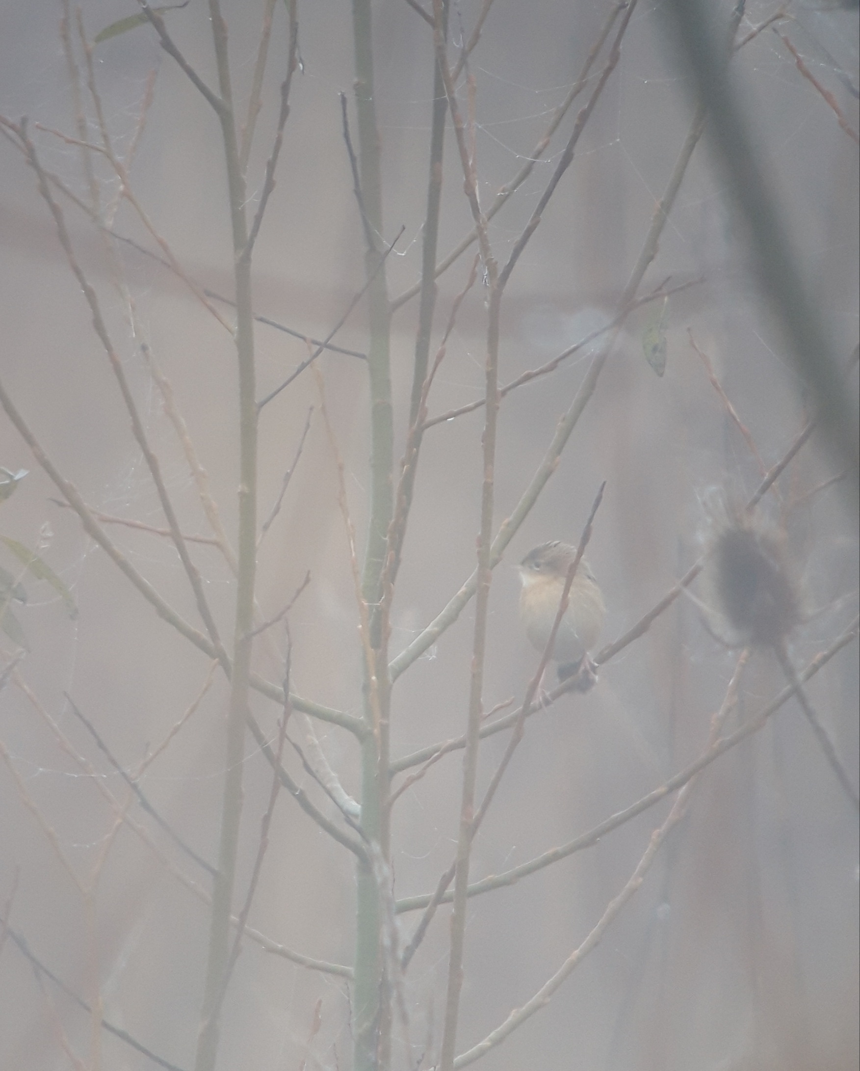 20231216_180216.jpg