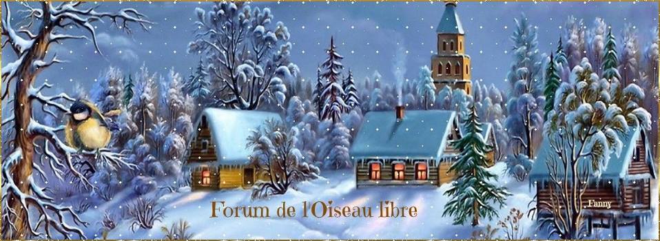 15241850_1321039074607679_3054471205094719098_n (1).jpg