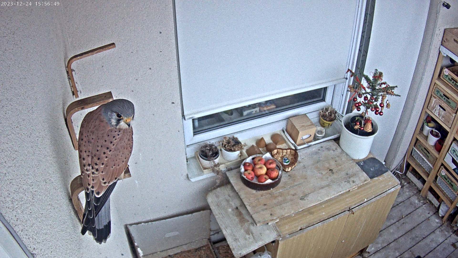 20231224-1729495887.jpg