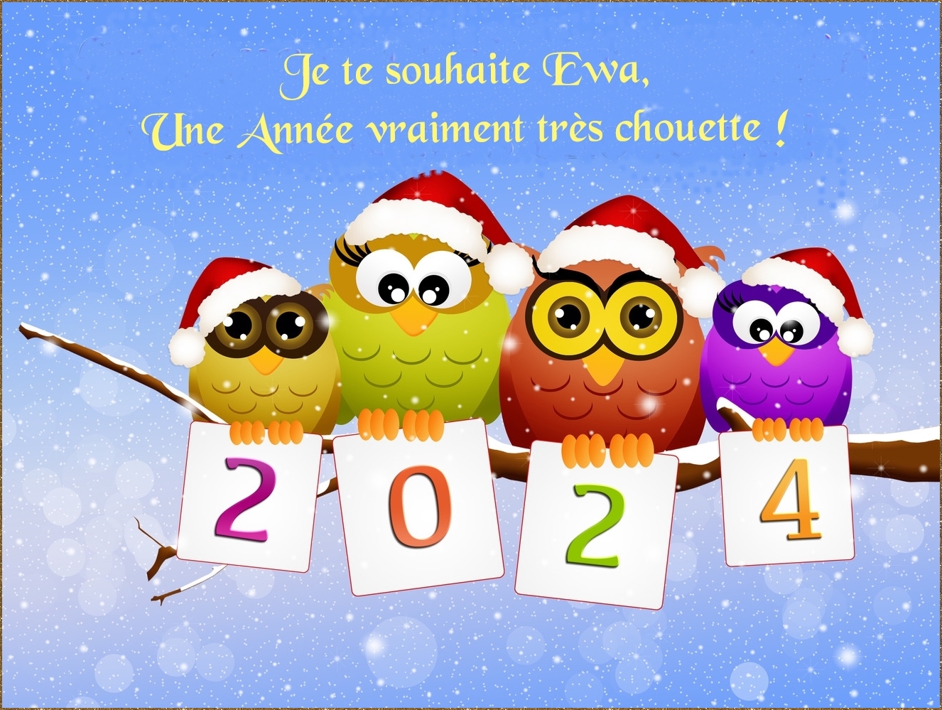 Ewa Bonne Année 2024.jpg