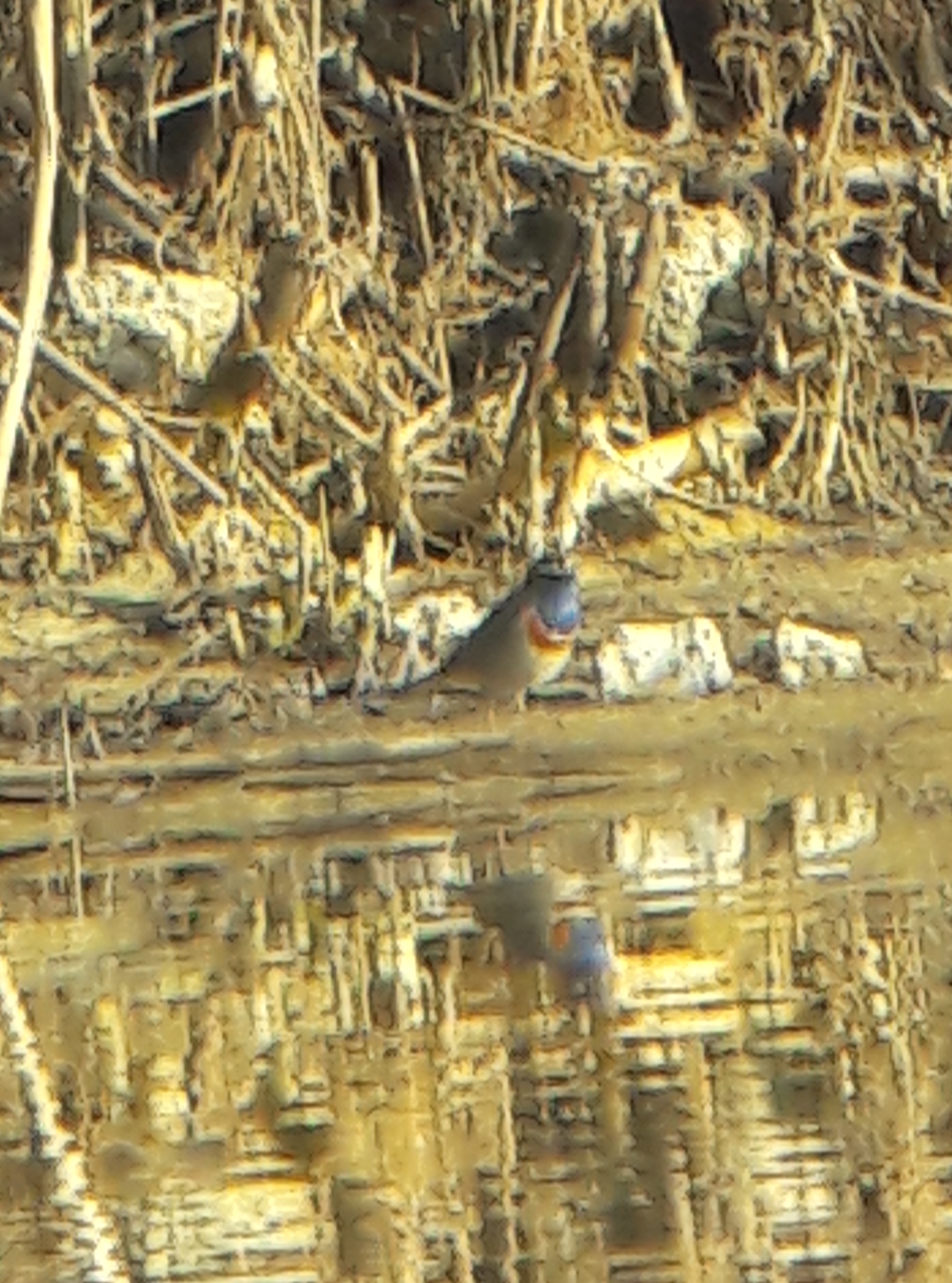20180324_174011.jpg