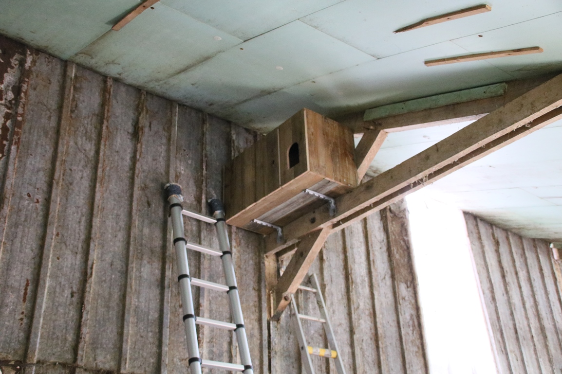 IMG_8524 - Copie.JPG