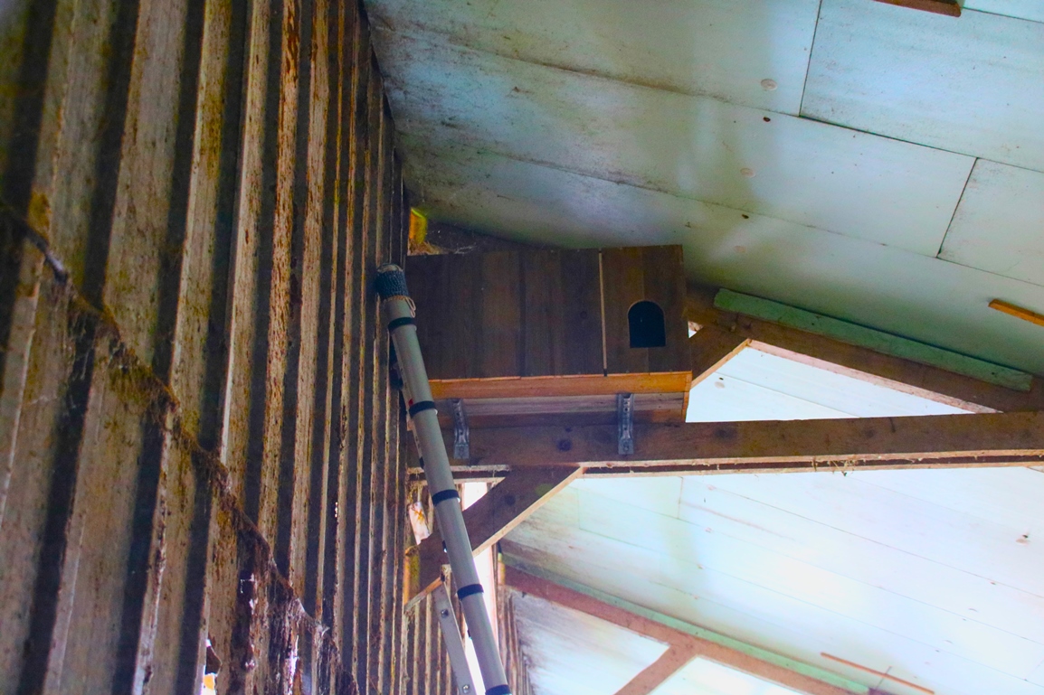 Instalation nichoir chouette Effraie (2).JPG