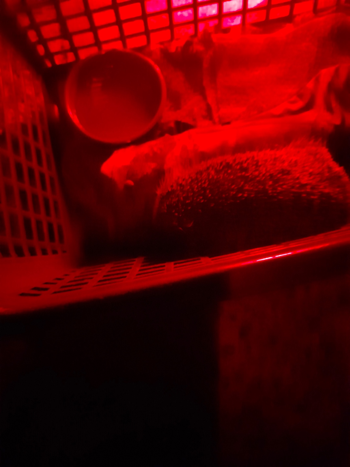 20240614_175512.jpg