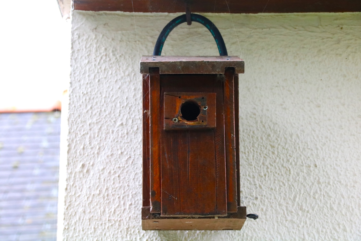 Nichoir balcon.JPG