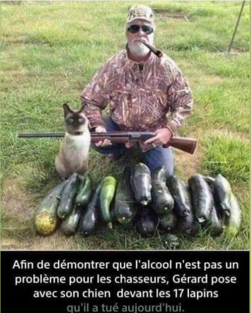 Sans titre-crop.png