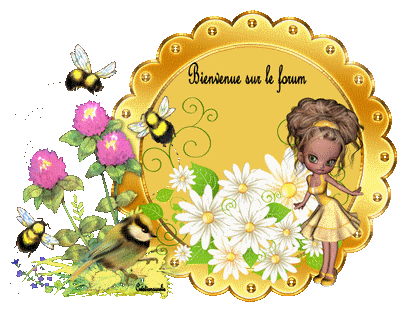 bienvenue-51e0e28.gif