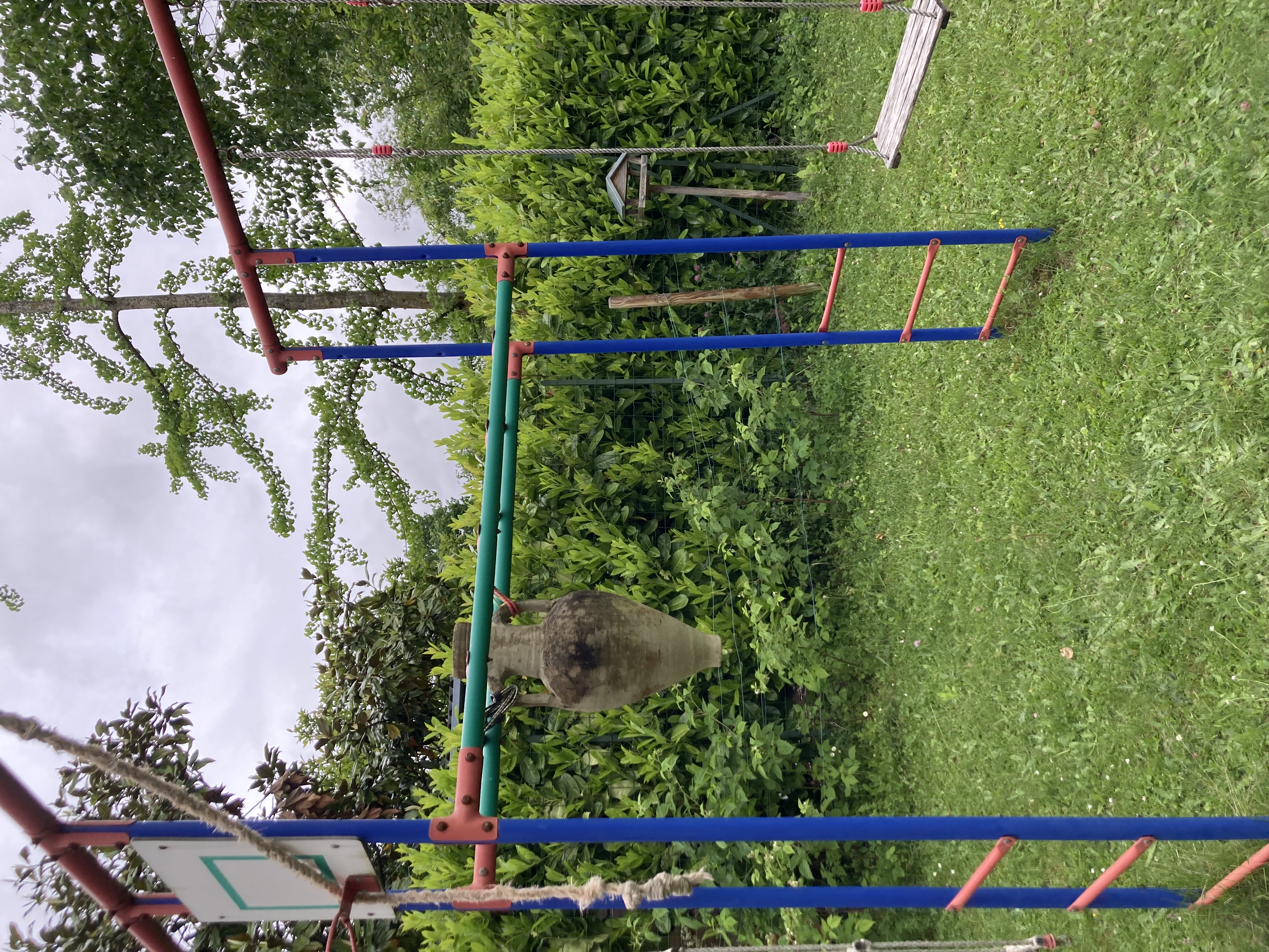 IMG_6606.jpeg