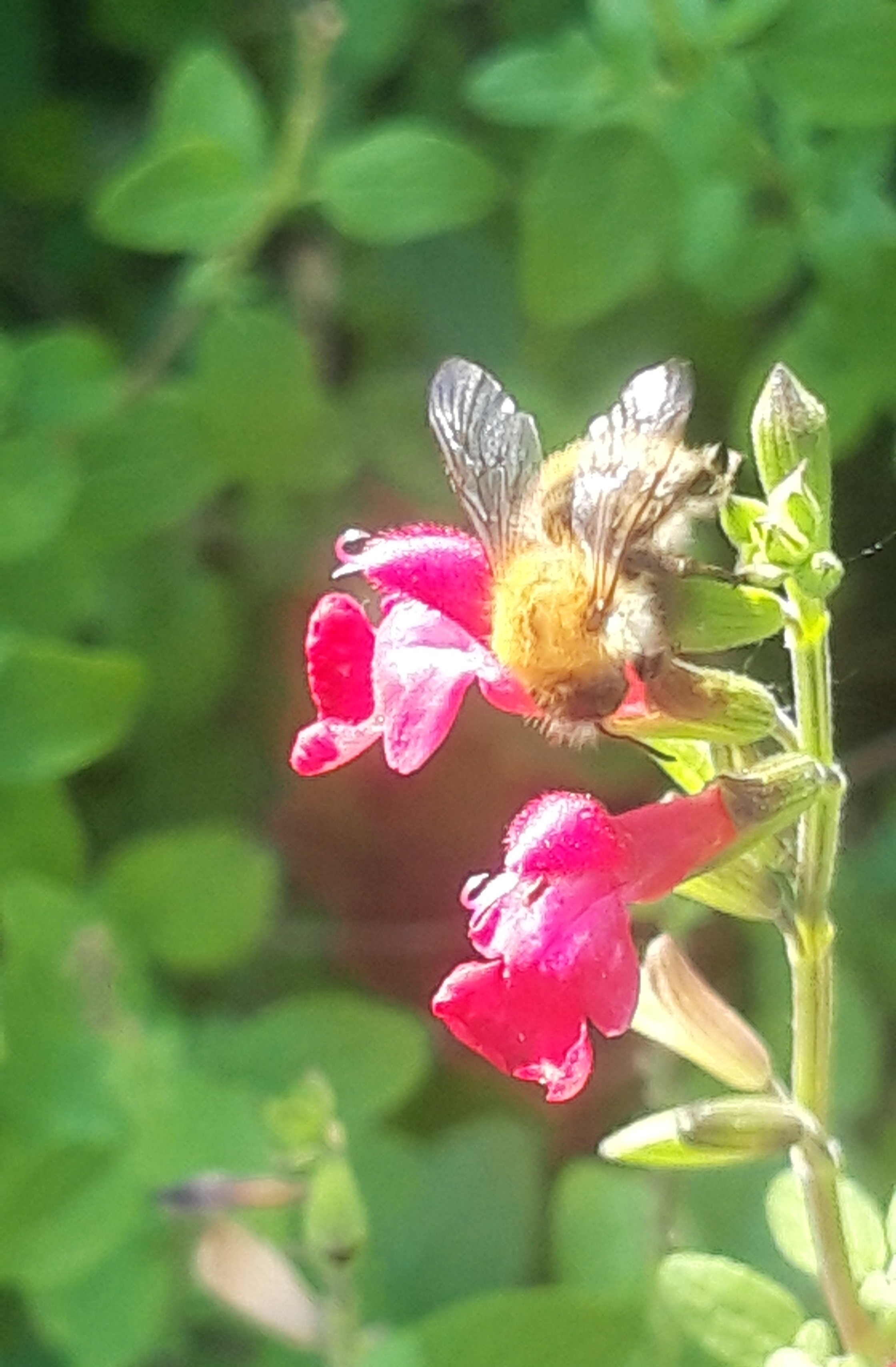 20250704_093939.jpg