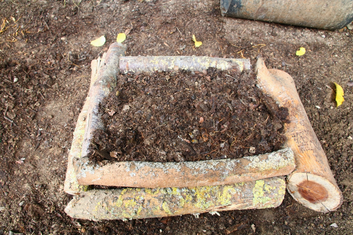 Nid Bourdon des près jardin 27 Juillet 2025 (2).JPG