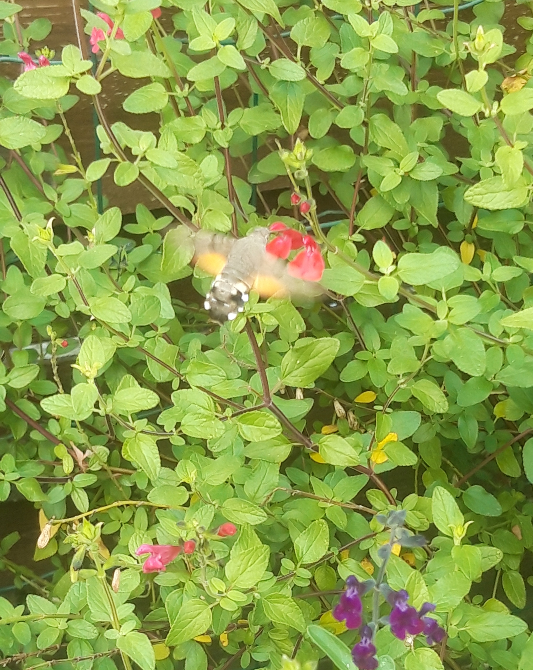 20250915_094039.jpg