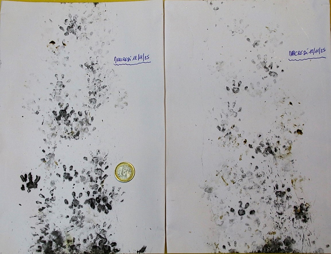 Mission Herisson Mercredi 12 Novembre 2025-crop.JPG