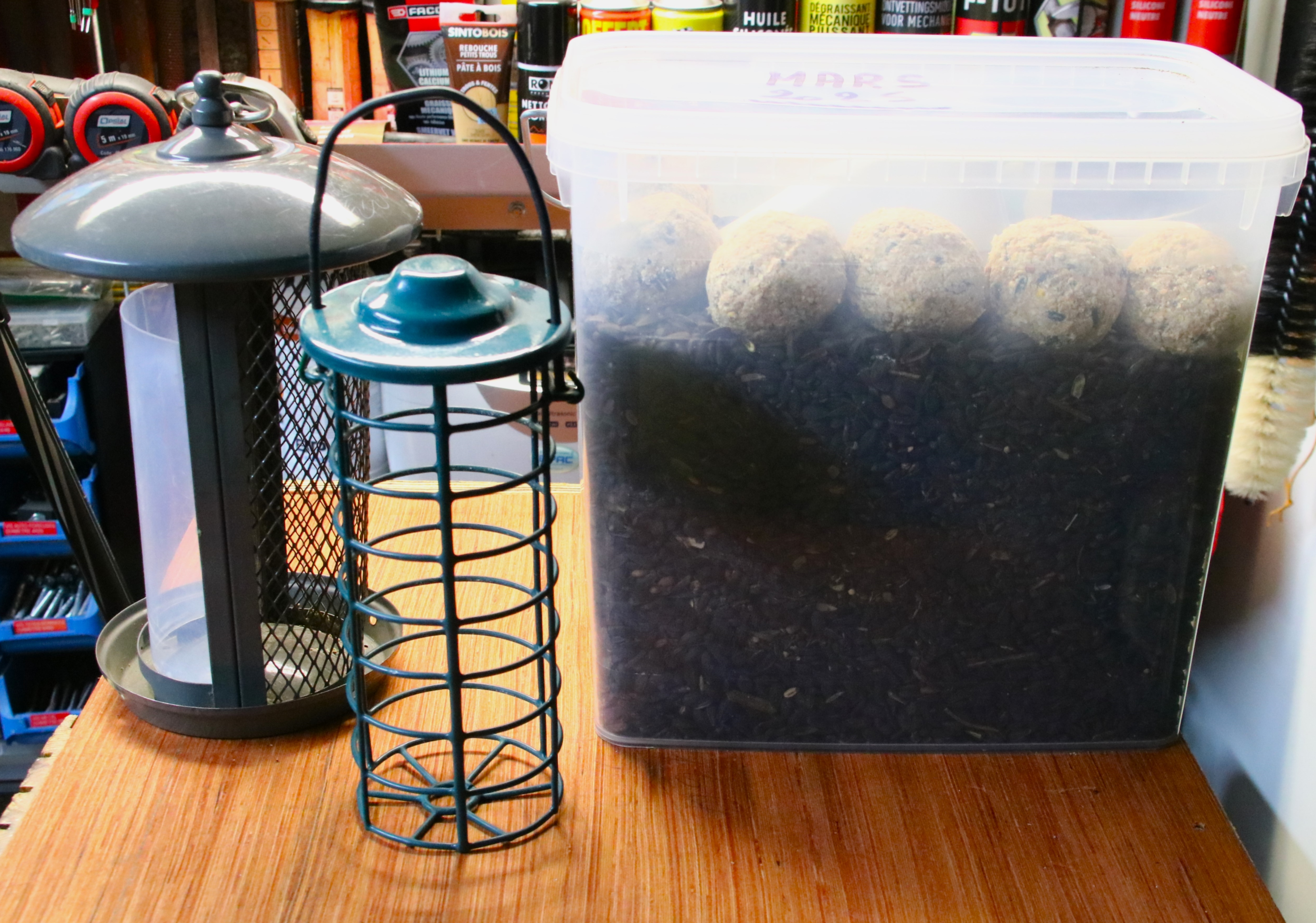 Mangeoires hiver 2025 (2).JPG