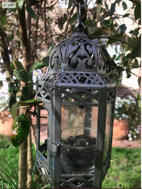 Capture d’écran 2026-02-10 à 20.21.59.png