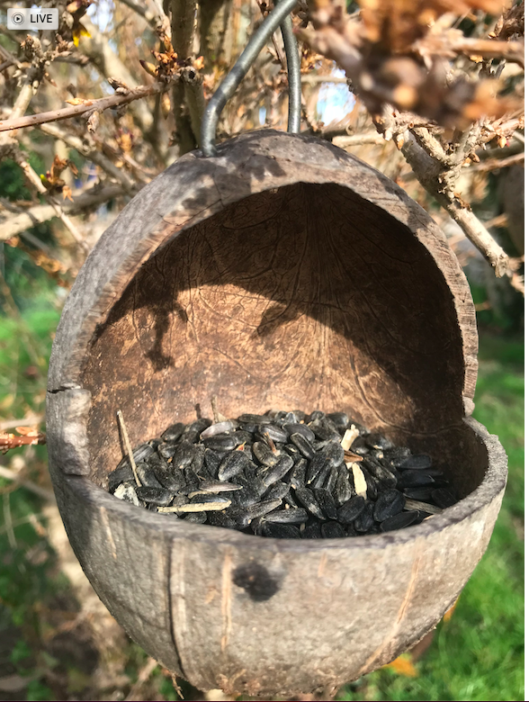 Capture d’écran 2026-02-10 à 20.22.26.png