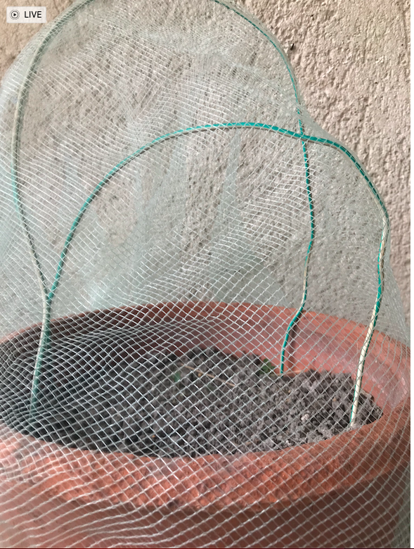 Capture d’écran 2026-02-16 à 07.57.00.png